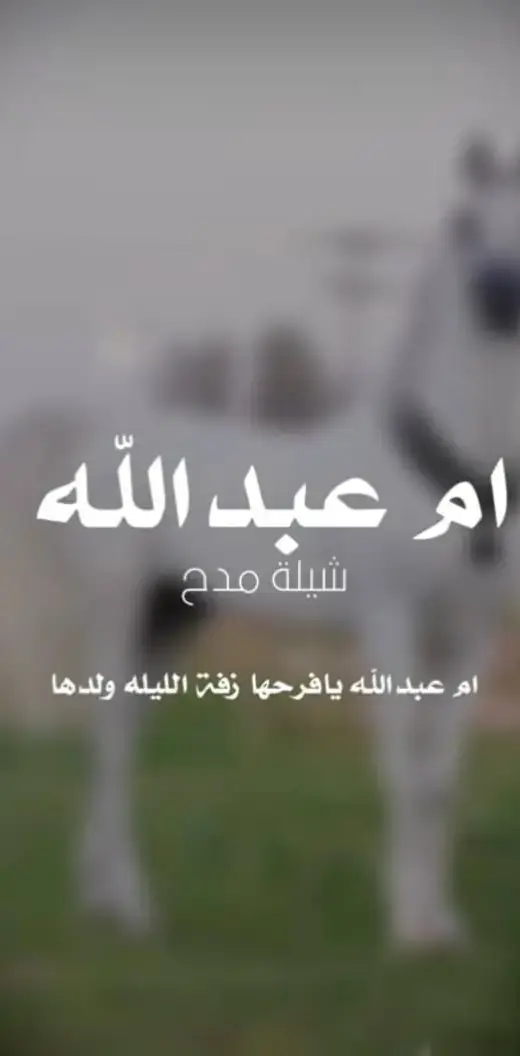السعودية -//0536512459 قطر الامارات #الكويت  #الكويت //00966566886937 السعوديه ##للطلب الشيلات والزفات التواصل معنا وتساب د اخل_المملكه #شيلات_زفات_تخرجات_مواليد_عقد_قرآن_مولو ده_مولود_شيلات_خروج_من_السجن - شيلات - شفاء_وسلامه شيلات_تقاعد_تخرج_ملازم_تخرج_ملازم_تخرج_عسكري_تخ رج_من_الدفاع_المدني_الكويت_قطر_السعودية_الامارات_البحرين_الكويت_الرياض_المدينه_ابها_شيلات_حماسيه_طرر_ام_ العروس_شيلات_ام_العريس_شيلات_عرسان_شيلات_ام_العر وس_شيلات_ام_لعروسه_شيلات_خطوبه_زفات_بالاسماء_زفا ت_بدون_اسماء_كتابة_كلمات_جديدة _0536512459من_خارج_المملكه_ 00966536512459- استديو روائع زفات غناءالخليج _لتنفيذ_الشر يلات_والزفات والقصائد0566886937 الشعريه_لجميع_المناسبات_شيلات_ مهنا_العتيبي تنفيذبالاسماء0536512459// فهاد_العلي_النايف_فواز_العنزي_شيلات_بنت_ا بوها_شيلة_شامخه_بنت_ابوها_الرياض_جده_مكه_المكرمه_اد ها_قطر_البحرين_الكويت_الامارات_شيلات_سعد_محسن_شي لات_ناصر_السيحاني_شيلات_عز_السعود_شيلات_قايد_الوبير ي_2024_شيلات_فلاح المسردي_شيلات_الجفراني_شيلات_ بندر بن عويد_فهد_بن_فصلا_محمد_بن_غرمان_جديد_كتابة _كلمات جديدة 0566886937من خرج المملكه 00966536512459 استديو روائع زفات غناء الخليج #للطلب_الرابط_بالبايو📥 