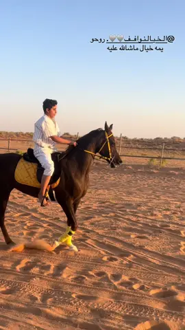 @الـخـيـالـ نـوافــف🩶🩶. #خيل_وخياله🐎 #اذكروا_الله #نواف #الشمري #مربط_العليا_البري تربه حايل 