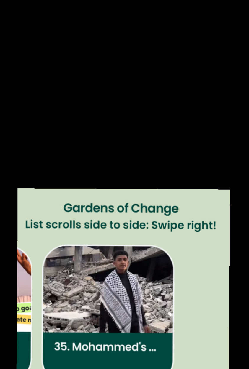 @mohmmedhossam 35 in the garden 🪴 #fyp #foryoupage #community #support 