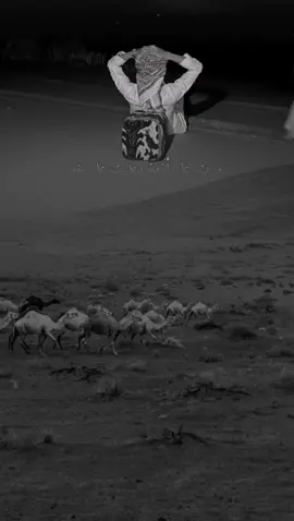 مرت علي أزمة وعدت على خير #تصميم_فيديوهات #سايل #كسبلو_لايك_كومنت#قويه#قصيدة 