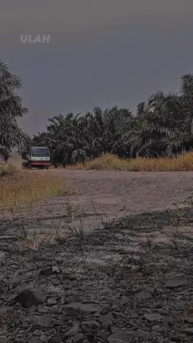 #fyptiktok #fypviraltiktok🖤シ゚☆♡viral 