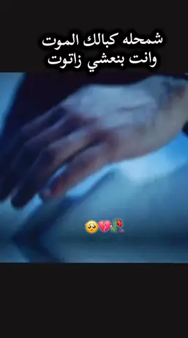 شمحله كبالك الموت وانت بنغشي زاتوت #موجوعهههههههه😴💔 
