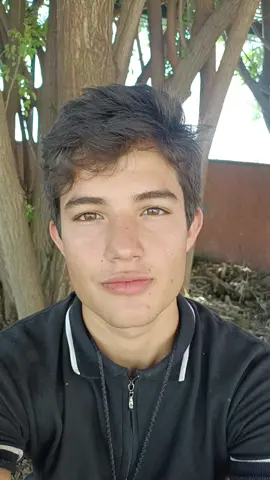 amo los árboles de mi trabajo jaja 