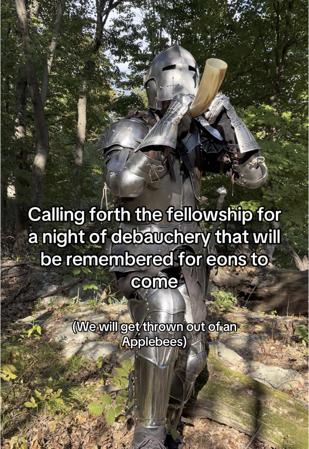 Assemble the men. The feast awaits our presence. #knight #renfaire #renfest #dnd 