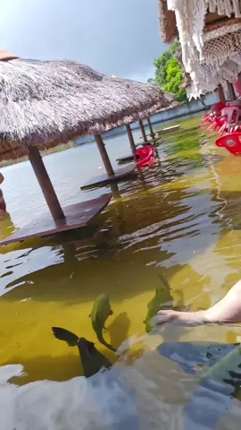 lagoa dos tambaquis eco Park #lagoadostambaquis 