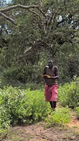 O sabor deste mel natural é tão delicioso#culturaafricana #tribosafricanas #caçatradicional #alimentaçãoancestral 