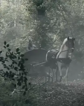 ايفار الكسيح#فايكنج#ايفار لوثبروك #pageforyou #fyp #طششونيي🔫🥺😹 