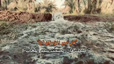 أصمت فان الصمت سيد اللغات #حسين_بن_كربلاء #h_u_s7n2 #h_u_s7n #كربلاء_مدينة_العشق_والعاشقين🖤 #اقوال_الامام_علي_عليه_السلام #الامام_علي_بن_أبي_طالب_؏💙🔥 