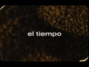 Náufragos#fypシ゚ #rarauwalejandro #100kviews #cosanuestra 