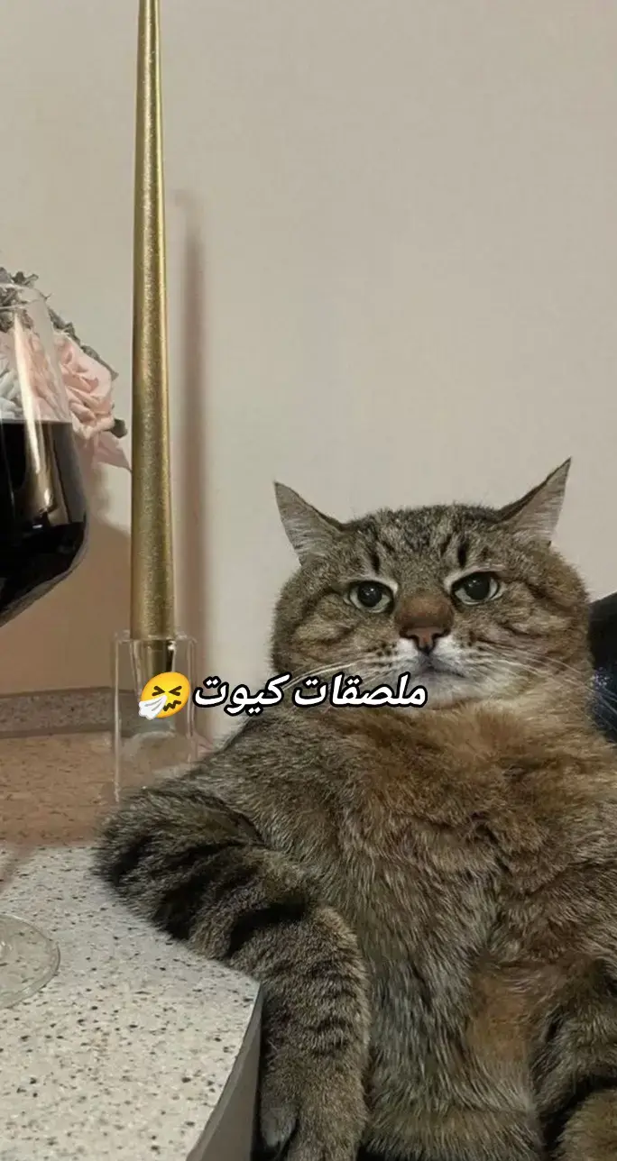 ملصقات#