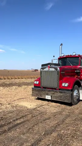 Oh baby we’re back! #harvest25 #farm #fyp #w9 #w900 