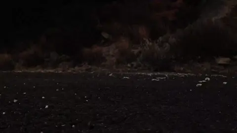 Emotional numbness is when you feel detached and unable to experience emotions, often as a protective response to stress, trauma, or depression. #viral #sad #fyp #luvfiti #real