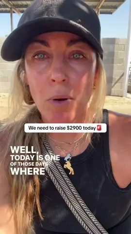 We need help!  We have raised almost enough to help FIVE, we have over 12 on our list— I will take any support that I can to help them. This is it for them. They leave on our trailer or they don’t. They get help, or they don’t. I can tell you right now that the horses we have on our list are not Horses that The general public would NOT be buying.  They are Horses with leg issues, old, eye issues, I promise you the only buyers for these types of horses are either the people who shipped them to Mexico or the people who sell them to the people who shipped them to Mexico.  They need our help, and this is me screaming at the top of my lungs, hoping that some miracle will be able to step in and be able to give them what they need.#fyp #goviral #sanctuary #horse #newyork   