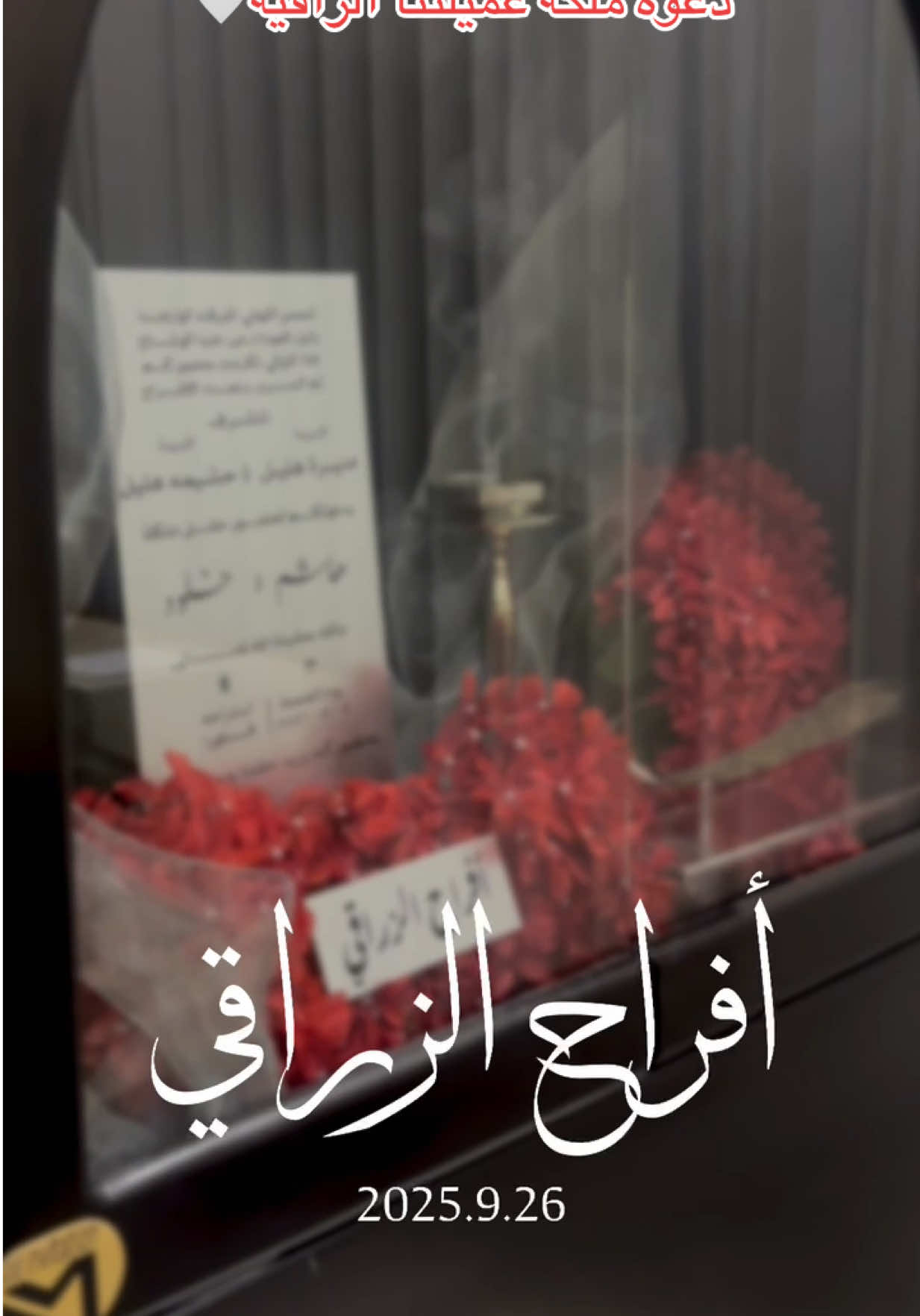 #دعوه_زفاف #ملكة #استقبال #دعوات #دعوه 