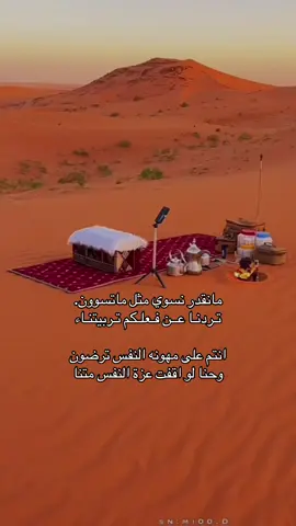#مارب