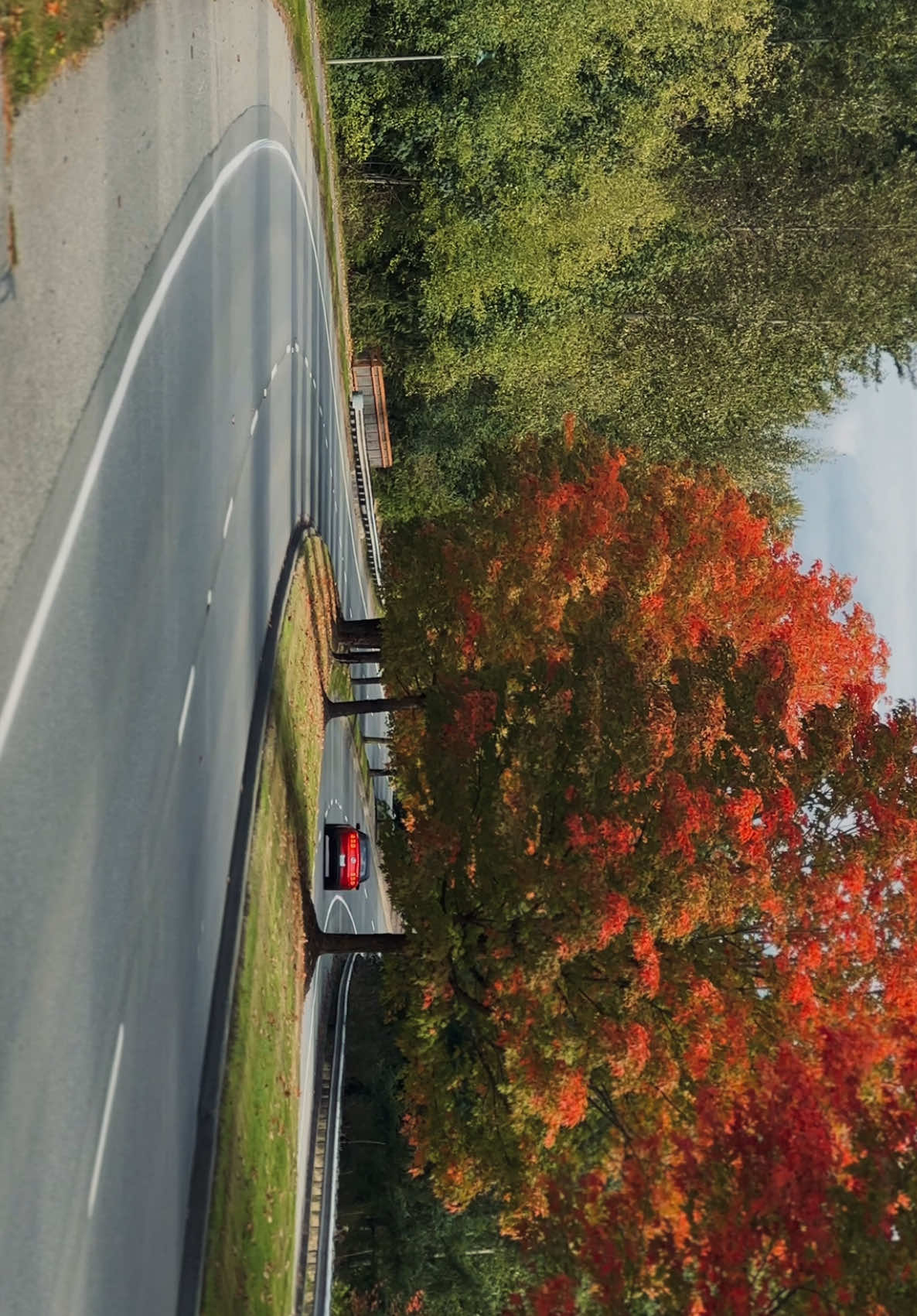 #fyp #viral #fall #driving #shotoniphone 