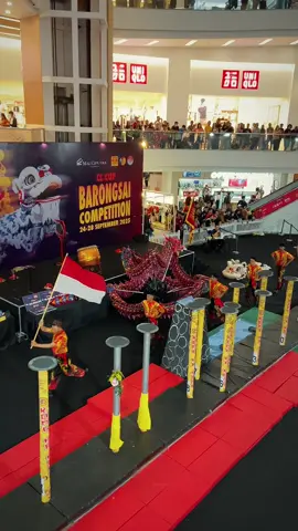 a little snippet at CL cup 2025🔥 Thank you for your prayers and support. 🙌 see you in the next competition! 🤍 #SDKPTEAM #foryoupage #fyp #Karawang #barongsaiindonesia🇮🇩 #Barongsai #fypage #CLcup2025