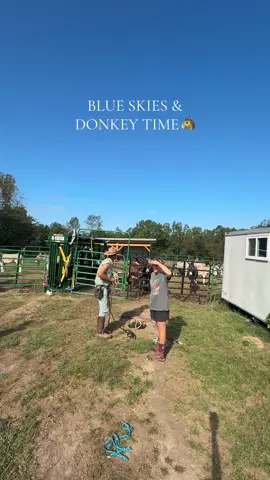 Everyone’s getting close, nice and personal…😂 #donkeycare #donkeysanctuary #animalcare #animalrescue @Littlejohn trail rides @Dahlonega Healing Herds 