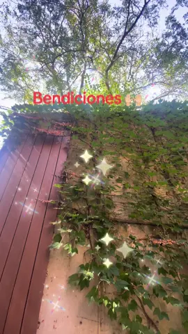 #buscandoaarturozavalahilerio #comparteporfavor #flyp #nptasnidesmayes #viral 