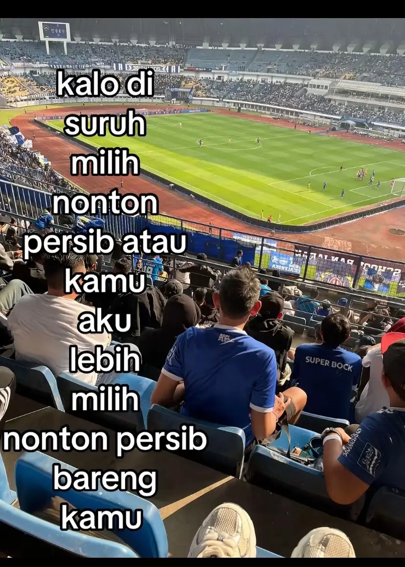 Aku njenengan lan persib 💙 @imel #fyp #f #persib #bobotoh #fyppppppppppppppppppppppp 