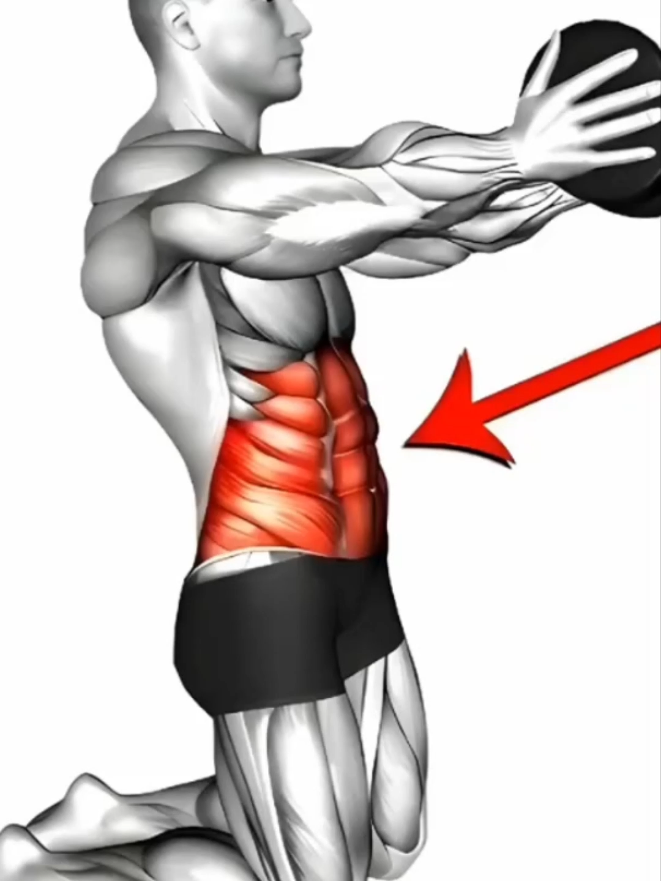 How To Get six pack workout at home abs? 🔥 #muscle #exercise #Fitness #workout #gym #fitnesstips #workoutmotivation #Abs #absworkout