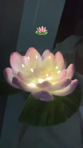 Lotus gece lambamız satışta! Sipariş için IG:pearlfloowers @Şeyda for you 🤍 #viraltiktok #keşfet #şönilçiçek 