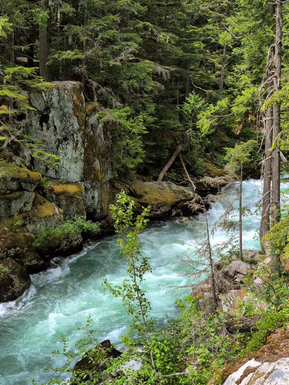 On the daily 😂  #nature #introvert #fyp #foryourpage #naturevibes 