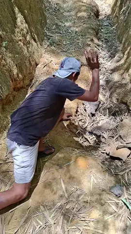 Lapin #visibilité #tik_tok #fyp #videoviral 