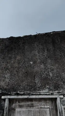 Sitak mazoea😡#pppppppppppppppp #trendingvideo #songlyrics @Dogo mallo @kid_papy9🧑🏽‍🦱🏆 @🍀D”A”Z”O”K”I”D”D👑 #wakali mtitiiii#its 