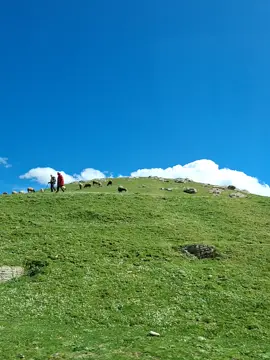 chwayya wa9ett w yarja3 ell couleur hedha💚💚#tunisia🇹🇳 #beja #Lifestyle 