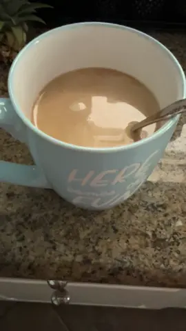 Coffee? Check. Personal space? Never heard of her. 🐱☕️ #CatsOfTikTok #Cat #Cats #CatLife 