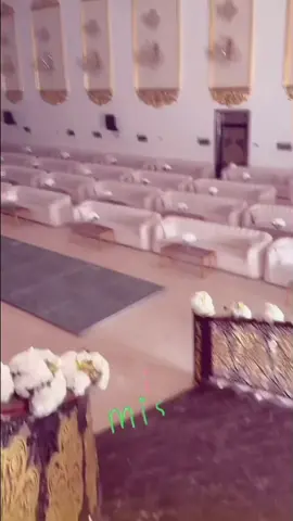 احلم 🤚🏻.#زواج #هواجيس #زواج_بلا_ندم #اغاني_مسرعه💥 #قاعه 