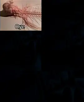 para identificarse 🥺😔 #memes #fundamentalpapereducation #momazos #shitpost #momazoskevin 