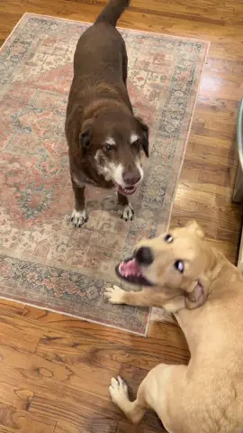 Frenemies