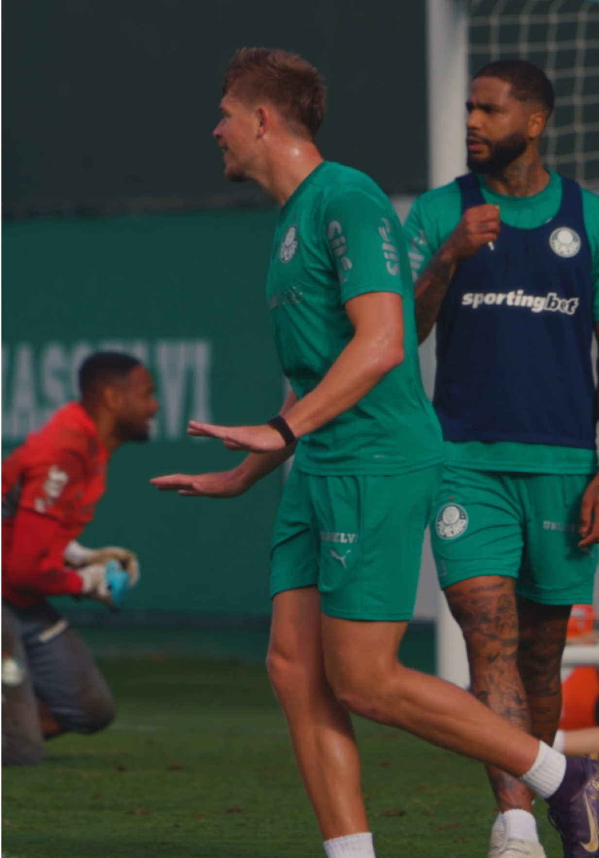 Zagueiro garçom? Temos! 😎 #TikTokEsportes #Palmeiras 