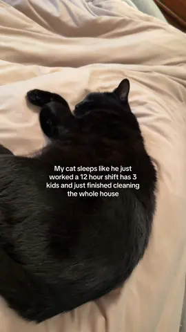 He’s so lazy😂 #blackcats #lazycat #blackcat #blackcatsoftiktok #cattok 