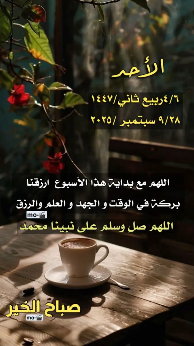 #اكسبلور #ترند #صباح_الخير #ترندات_تيك_توك #طبرجل_القريات_تبوك #قران_كريم #هشتاقاتي_الترند_المشهور 