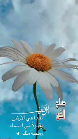 #في هذا اليوم 