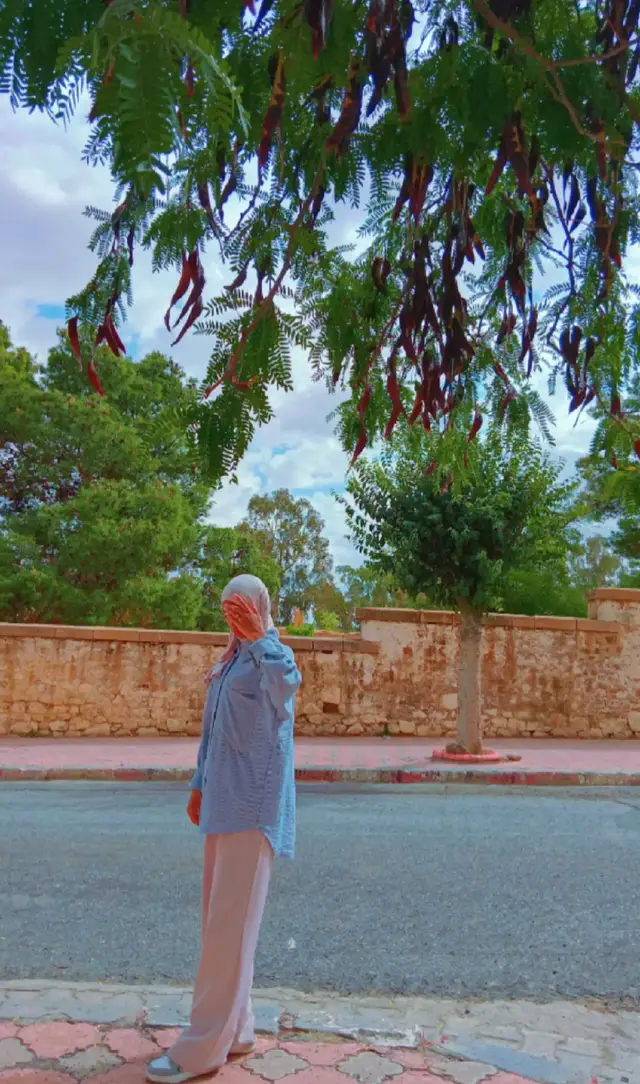 #شعب_الصيني_ماله_حل😂😂 #البويرية🥀🖇🖤👑_10@Mee Lyy535 