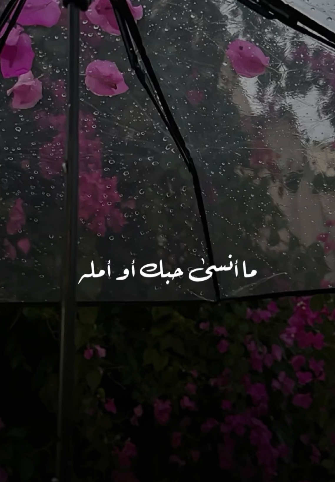 ❤️قلبي في ايدينك يا غالي بس خل بالك عليه❤️يا حبيبي هذا قلبي وانت ادرى الناس فيه❤️لو اعيش العمر كله ما انسى حبك او امله #غير_الناس #انت_غيرالناس_عندي #راشديات💙 #راشدالماجد #راشد_الماجد 