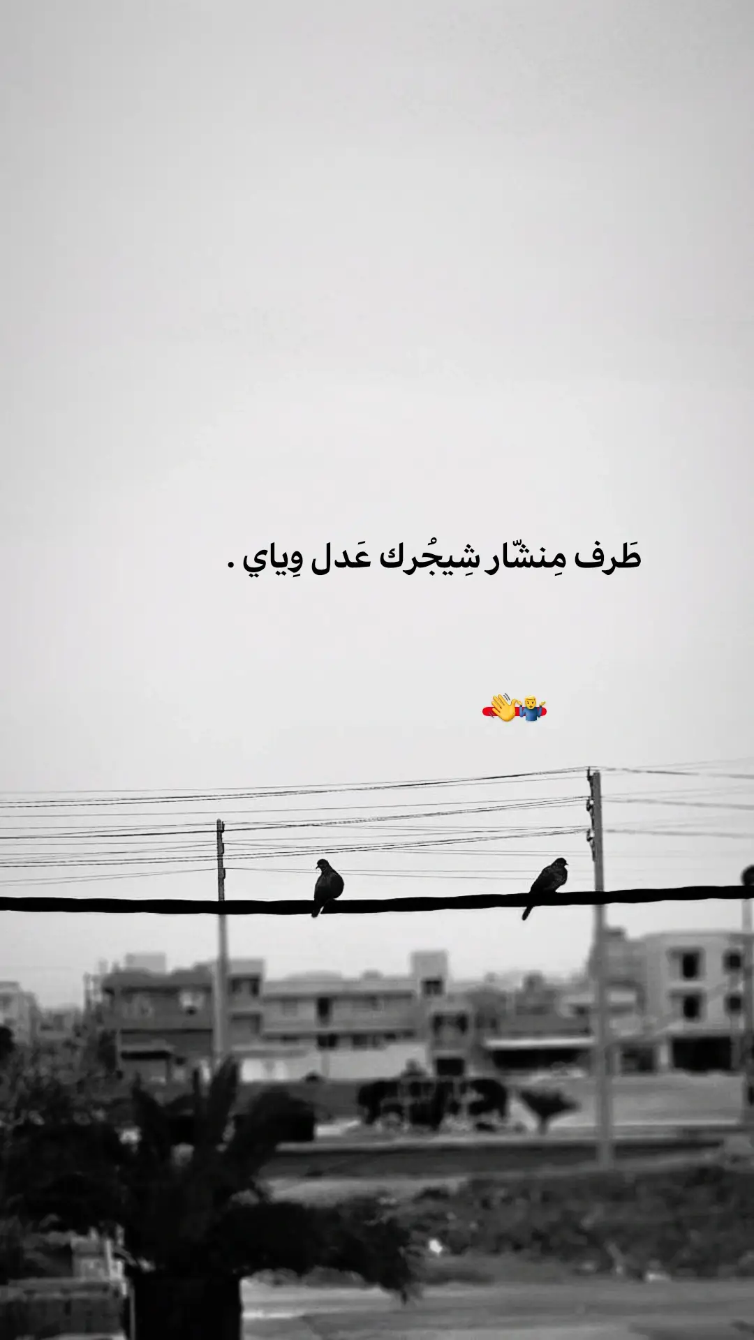 #عباراتكم_الفخمه📿📌 #fyp  #للعقول_الراقية_فقط🤚🏻💙 #youtube #شعب_الصيني_ماله_حل😂😂 