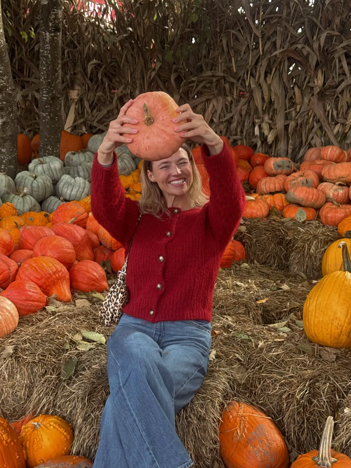 I never know what to do with my hands so holding a pumpkin was so helpful lol #pumpkinpatch #fallphotoshoot #fallfashion #autumnfashion 