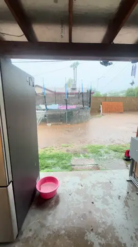 Pobresita tenua miedo a los truenos