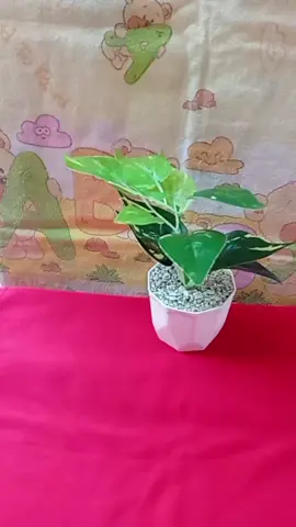 #salepgatal #salepchina 
