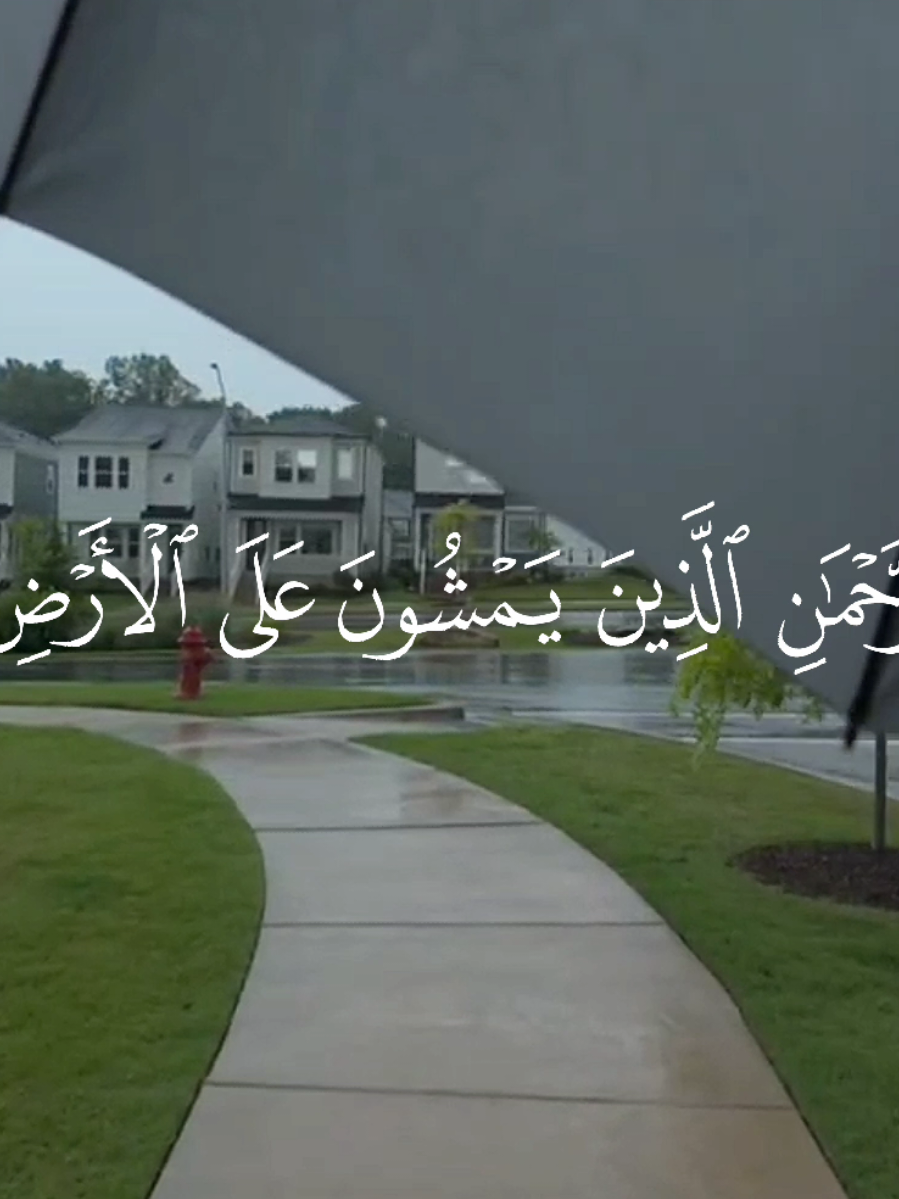 عبدالرحمن الحميداني - وعباد الرحمن الذين يمشون على الارض هونا || #قران #quran #عبدالرحمن_الحميداني 