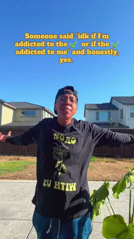 Comment if you saw me bout to scrap with the Monsterra lmao  BRING BACK GOOD MUSIC!!