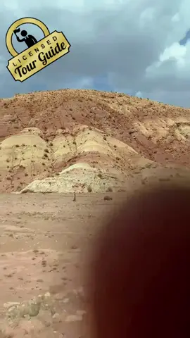 Enhance your vacation with royal memories in a vip frame.                     #bus #tours #vip #viraltiktok #trustworthy 