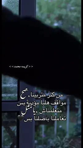 من كتر متربينا,ّصح مواقف هلبا مؤدية بس متعلمناش ,ّيالمثل تعاملنا بآصلنا بس🖤#الشعب_الصيني_ماله_حل😂😂 #طرابلس_بنغازي_المرج_البيضاء_درنه_طبرق #fyppppppppppppppppppppppp 