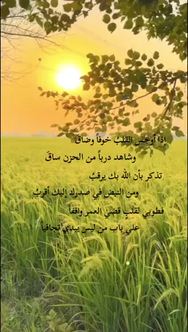 إذا أوجس القلب خوفاًوضاق           وشاهد درباً من الحزن ساق تذكر بان الله بك يرقبُ          ومن النبضُ في صدرك إليك أقربُ فطوبي لقلبٍ قضي العمر واقفاً      علي باب من ليس يبدي تجافياً #اللهم_صلي_على_نبينا_محمد #اقتباسات #عبارات 