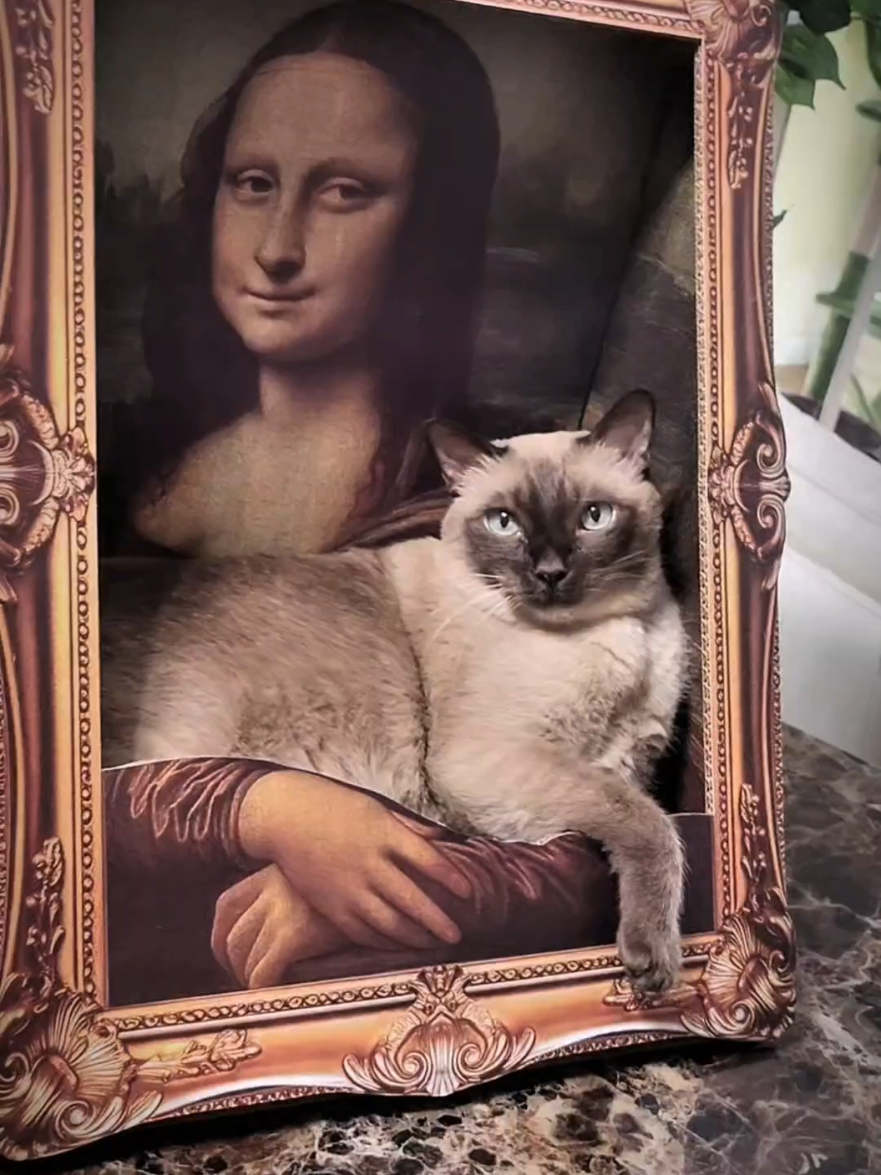 The Mona Lisa isn't a splurge-it's your cats home upgrade. Grab this  Vagascape Mona Lisa 4D Frame Cat House with Scratching Board and have fun! #catsoftiktok #cats #catlover #catowner #cat 